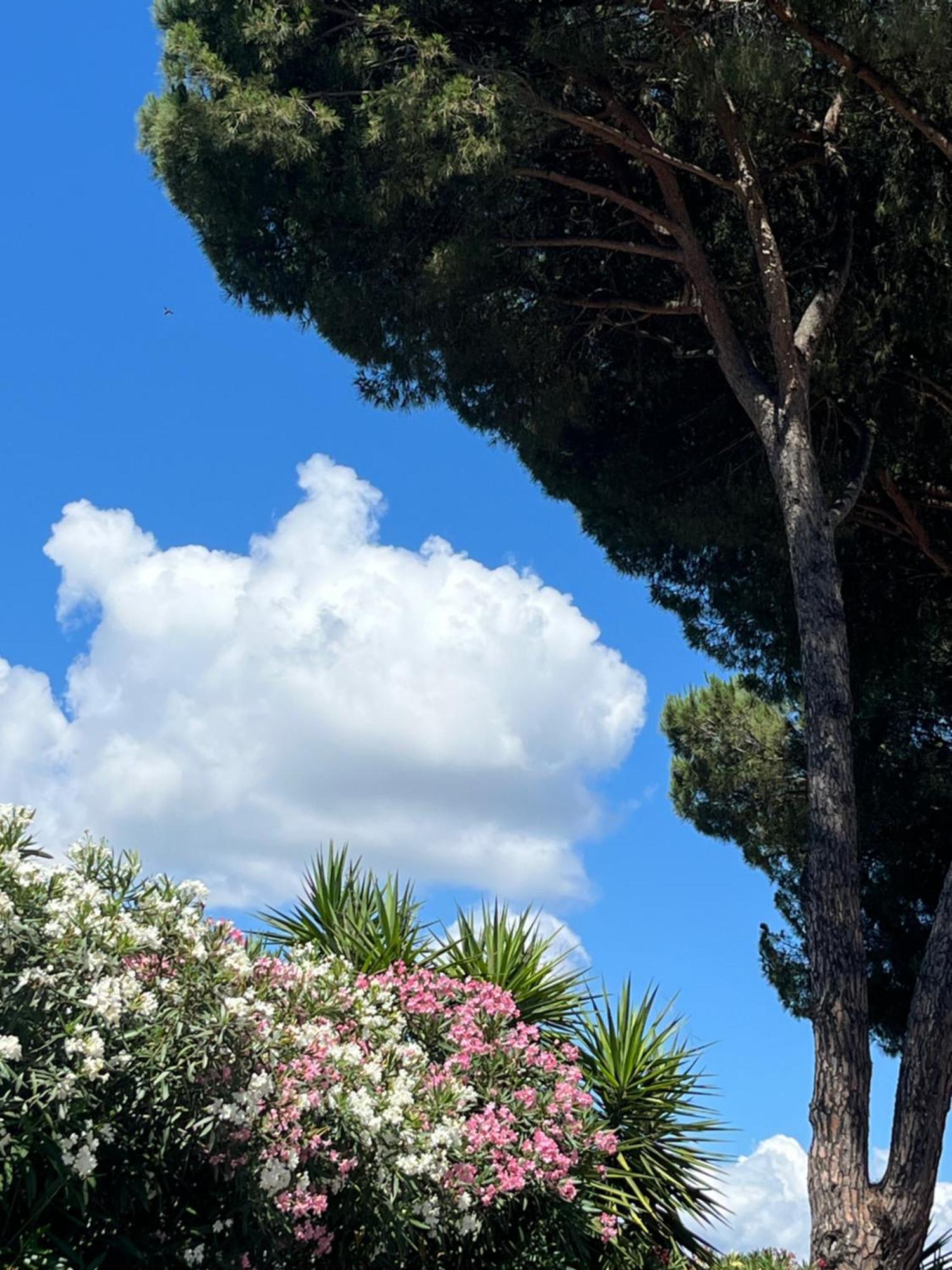 Torre Antica Suite Campagnano Di Roma Luaran gambar